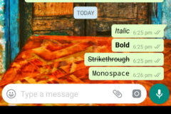 WhatsApp Messages with Italic Bold Strikethrough or Monospaced Text
