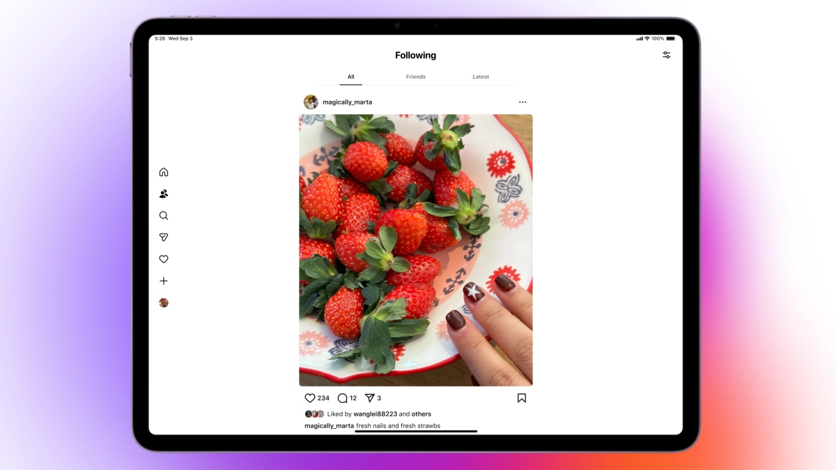 Instagram iPad App, Instagram for iPad, iPad Instagram features, Instagram tablet version